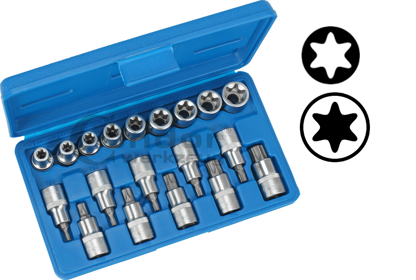 Douilles Torx femelles et douilles tournevis Torx mâles, Coffret de 19