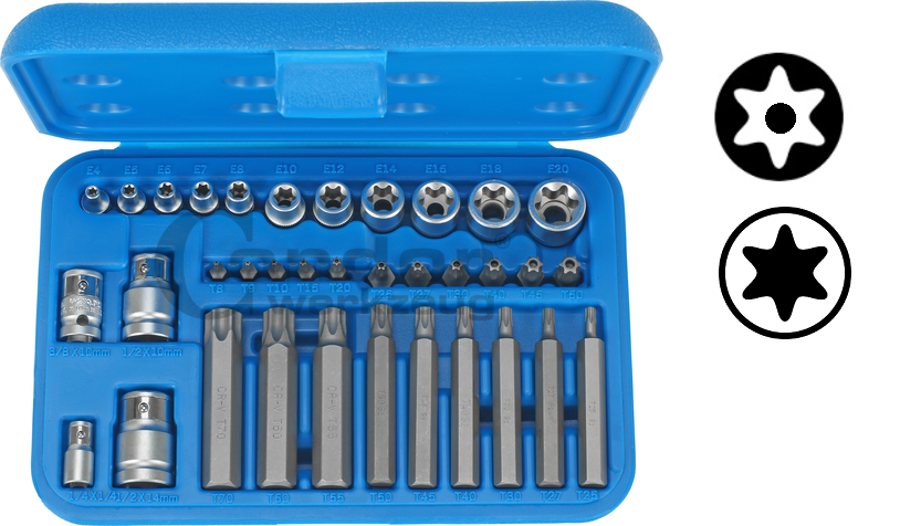 Coffret embouts Torx 20 à T55 30/75mm douille 1/2